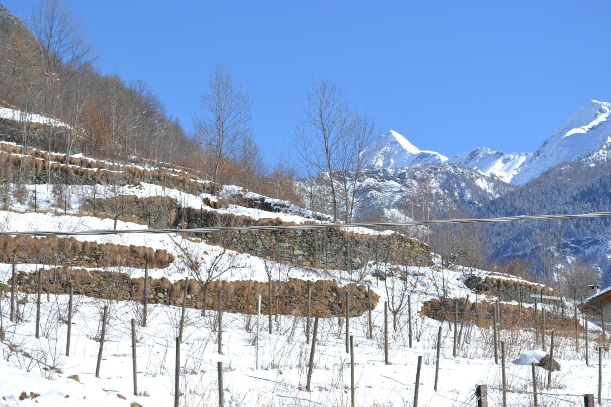 Casa Vacanza La Rocca Chiesa in Valmalenco Exterior foto